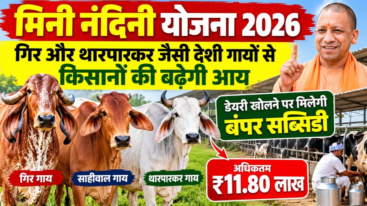 Mini Nandani Yojana 2026